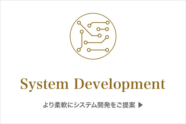 system-development